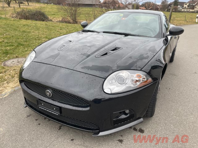 IMG 2765 (Klein) (1)