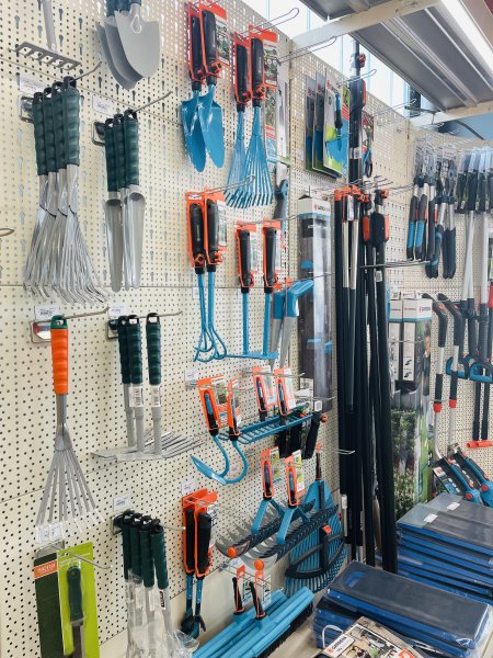 Image Manager Rex Mediapool Maximized Image00016