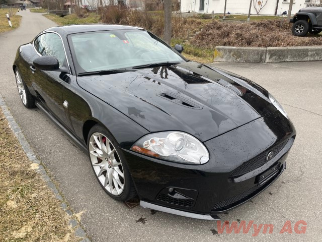 IMG 2767 (Klein) (1)