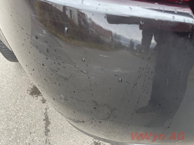 IMG 2770 (Klein) (1)