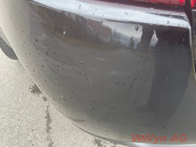 IMG 2771 (Klein) (1)